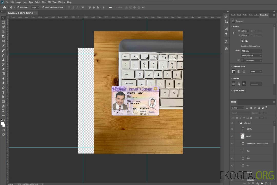 USA Virginia DL photolook AVANT template USA Virginia DL photolook AVANT template